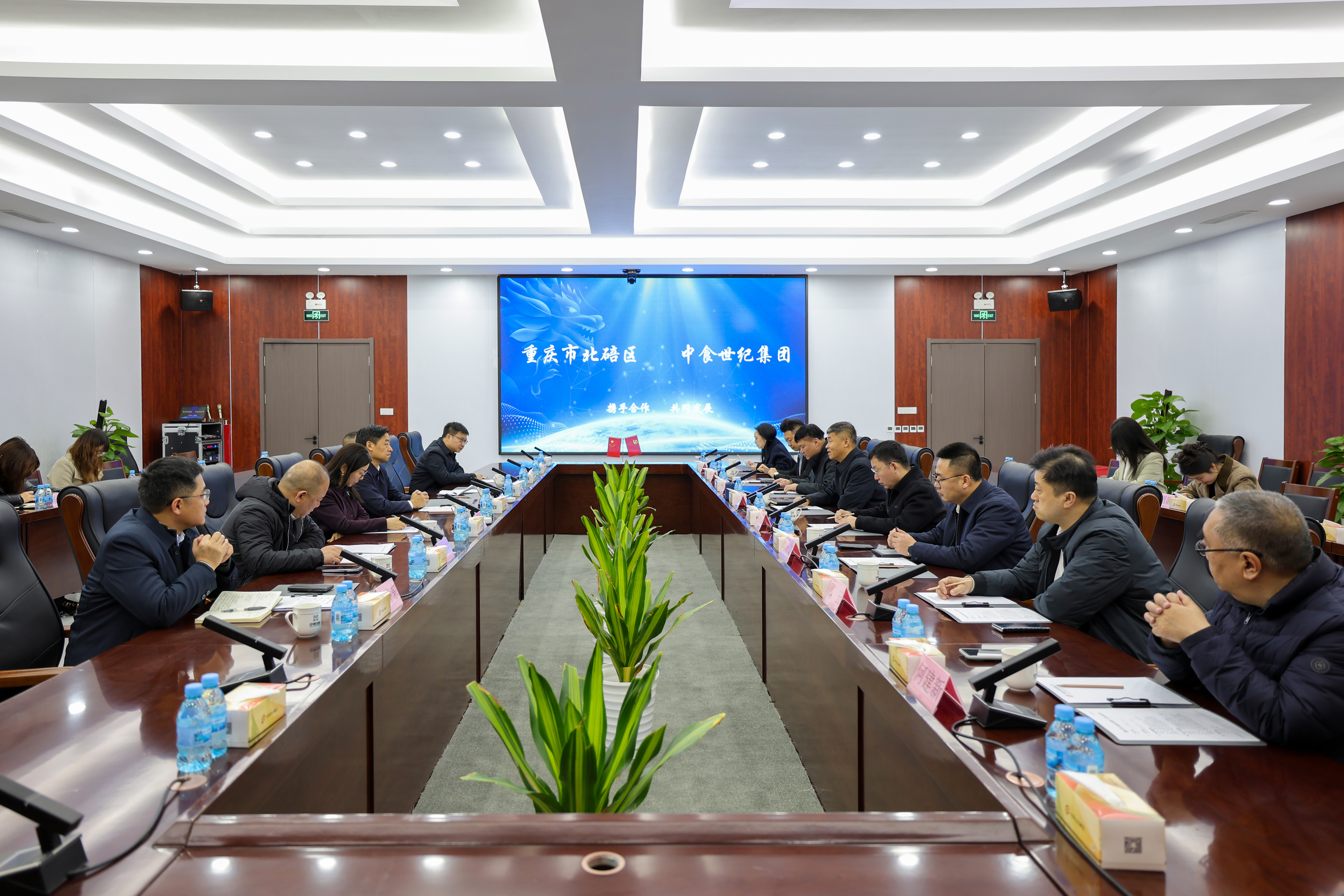 王文亮與重慶市北碚區委副書記、區長卓大林會談，蘇德庫參加會談